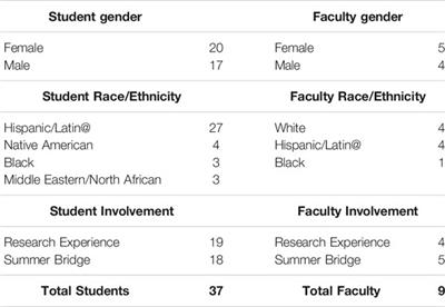 Activating Social Capital: How Peer and Socio-Emotional Mentoring Facilitate Resilience and Success for Community College Students